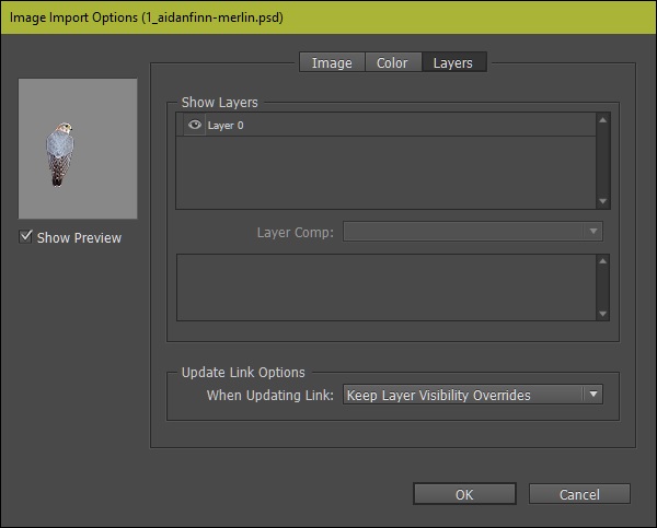 Image import Option