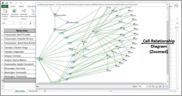 Cell Relationship Diagram Zoom