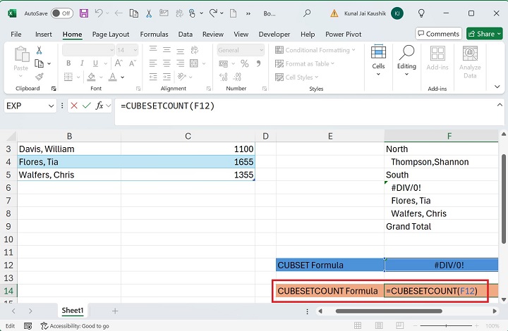 Excel CUBESETCOUNT Function 10