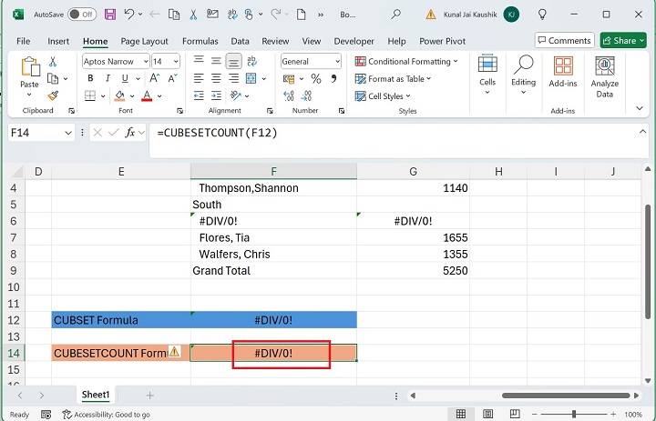 Excel CUBESETCOUNT Function 11