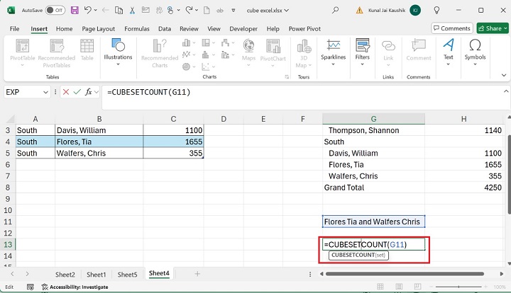 Excel CUBESETCOUNT Function 8