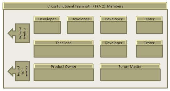 Cross functional Team