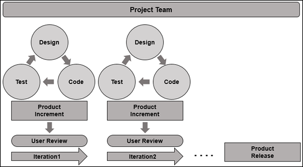 Project Team