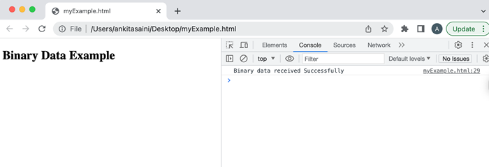 Handling Binary Data