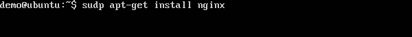 Install nginx