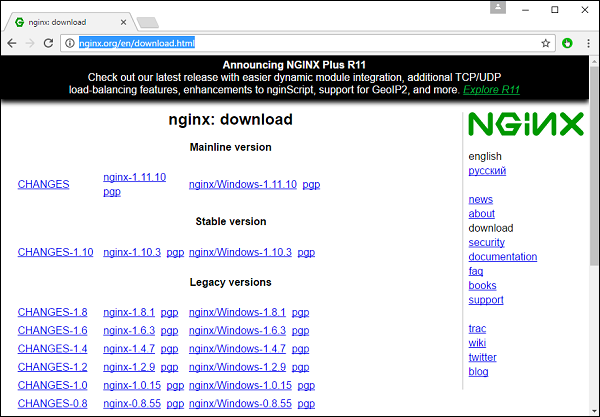 nginx