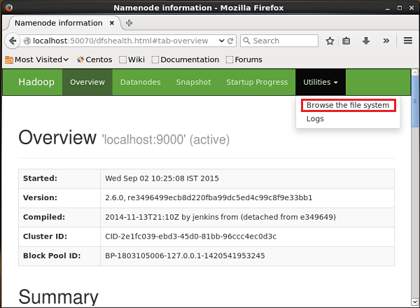 Verifying HDFS