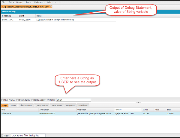 Executing Code in Developer Console Step4