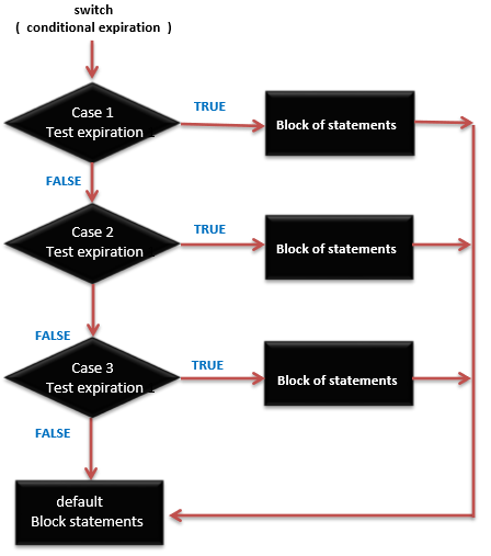 Switch Case Statement