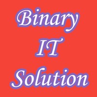 Binary IT Solution