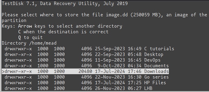 restored data