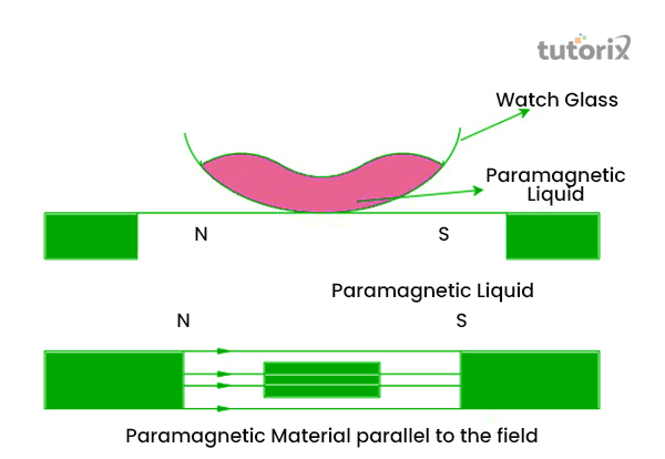 Paramagnetic Liquid