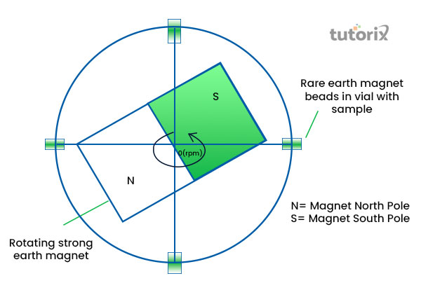 Rare earth magnets