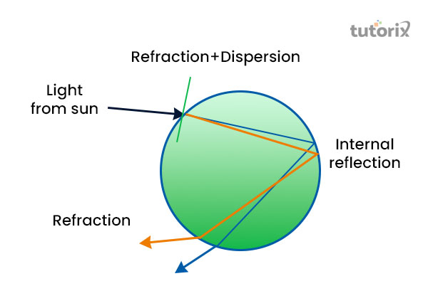 Properties of light responsible for the rainbow