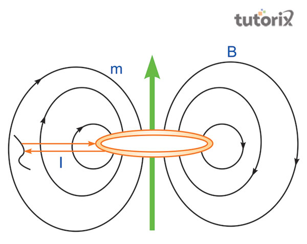 Dipole moment of a magnet