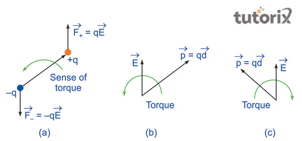 The application of torque on an electric dipole