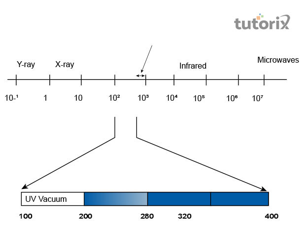 Ultraviolet radiation components