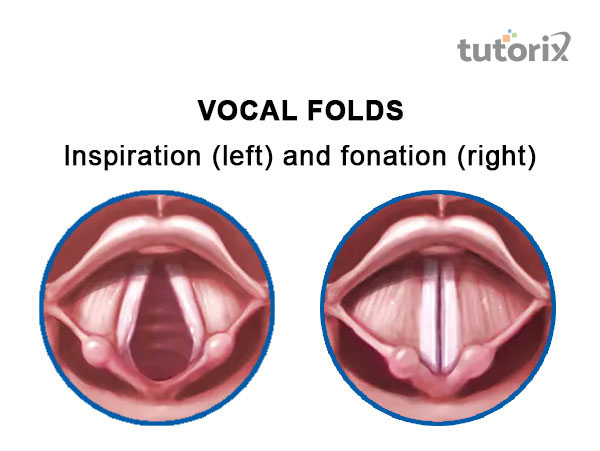 Disorders of voice