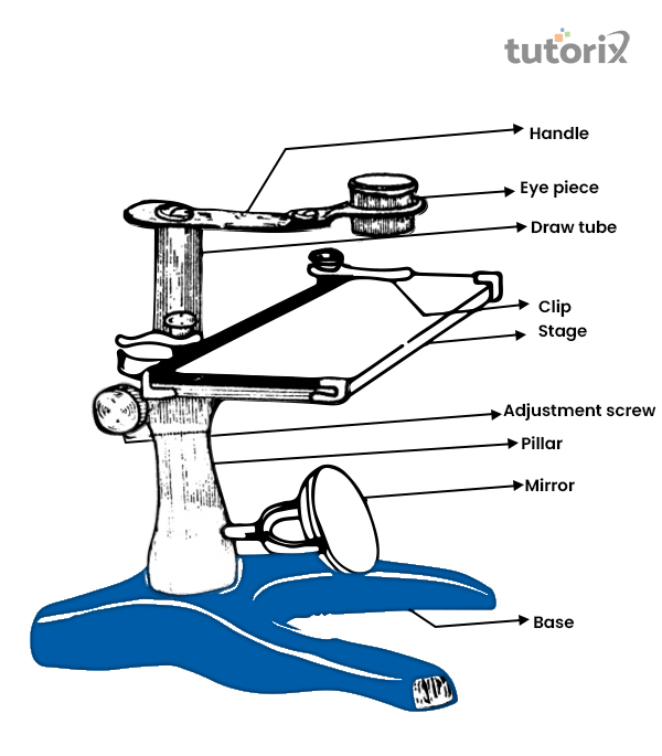 Simple microscope