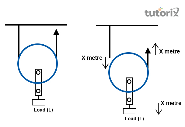 Single Movable Pulley