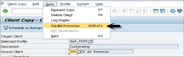 Parallel Process