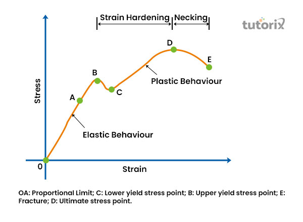 Strain and Stress