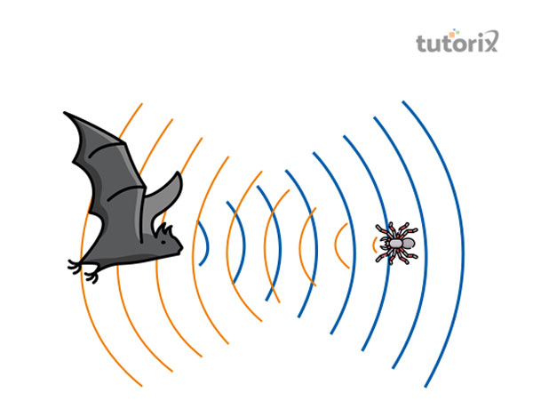 Speed of sound waves