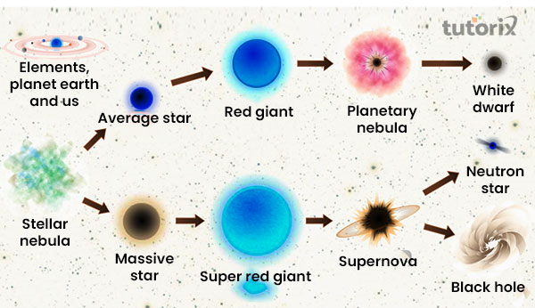 Central Galaxy