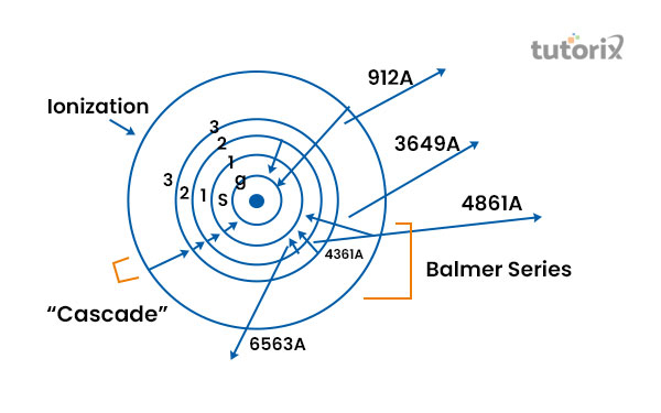 Formation of Spectral Series