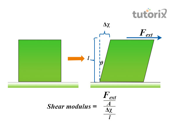 Shear modules