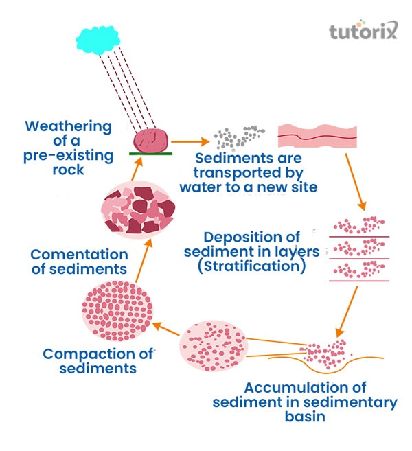 Sedimentary Rocks formation