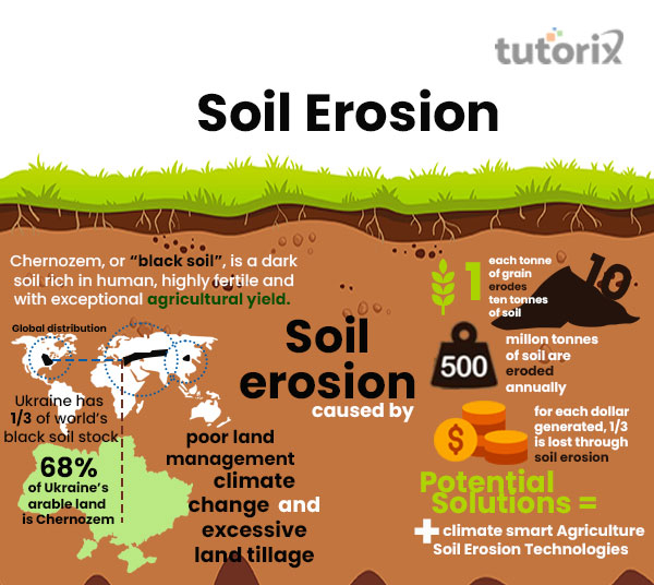 Causes of Soil Erosion