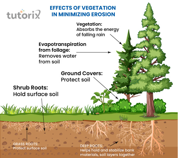 Prevention for Soil Erosion