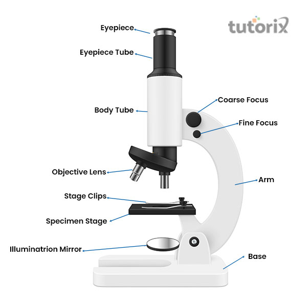 Simple microscope