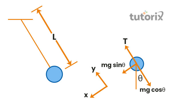 Simple harmonic motion