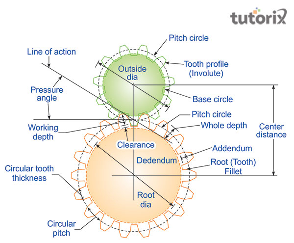 Parts of a Gear