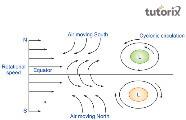 Coriolis effects on cyclone