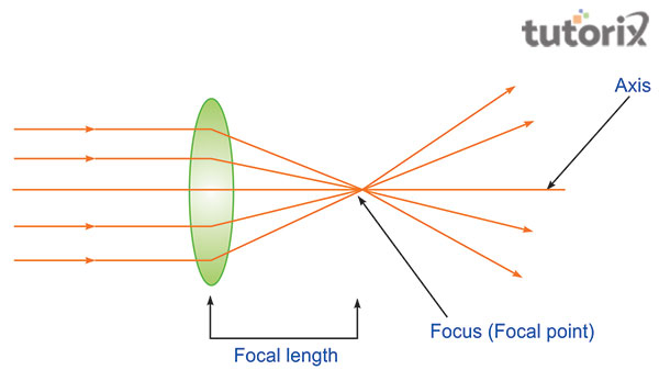 Convex Lens