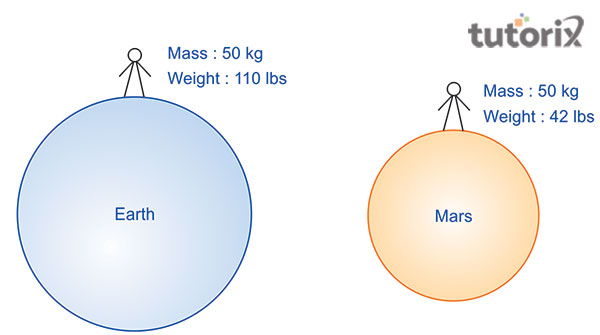 Difference between mass and weight