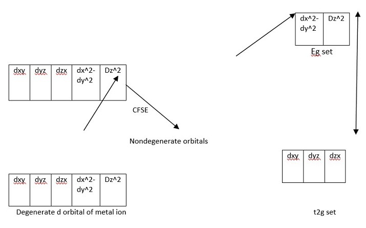 Octahedral Complexes
