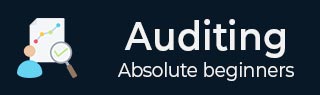 Auditing Tutorial