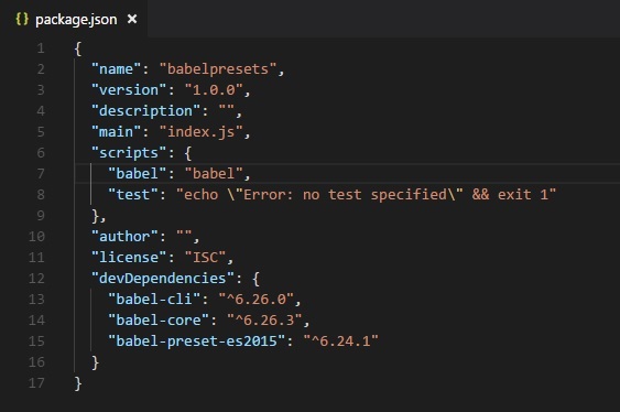 Package Json After Installation