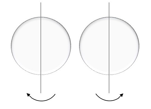 Spin Quantum Number