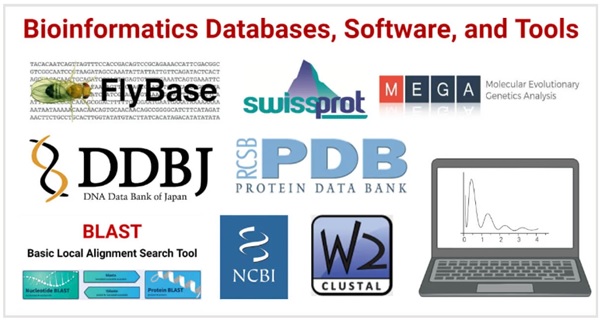 Bioinformatics