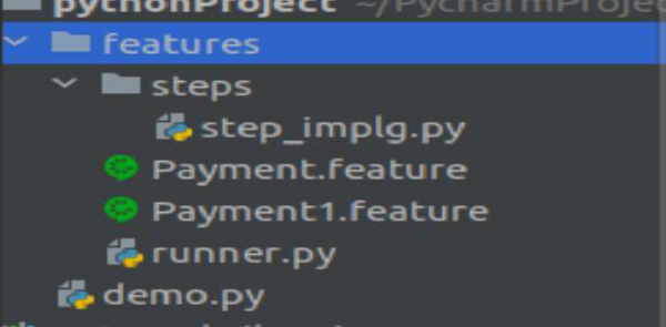 Project Folder Structure