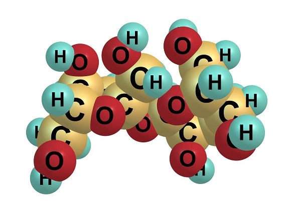 Carbohydrate