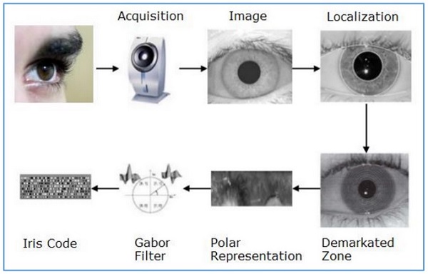 Iris Recognition System