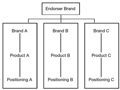 Endorser Brand Architecture