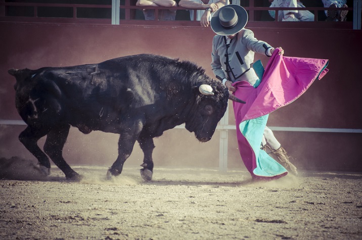 Bull Fighting