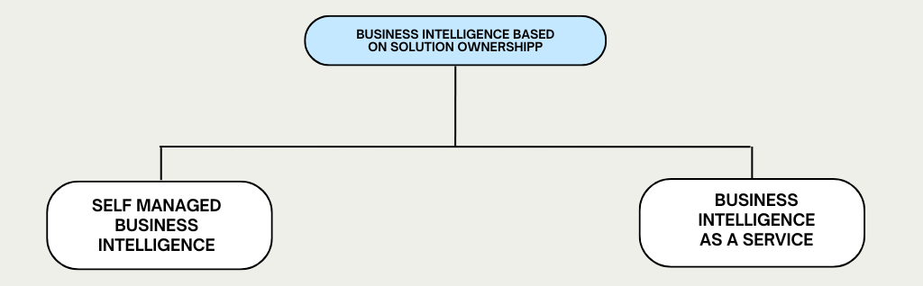 Business Intelligence based on Solution Ownership